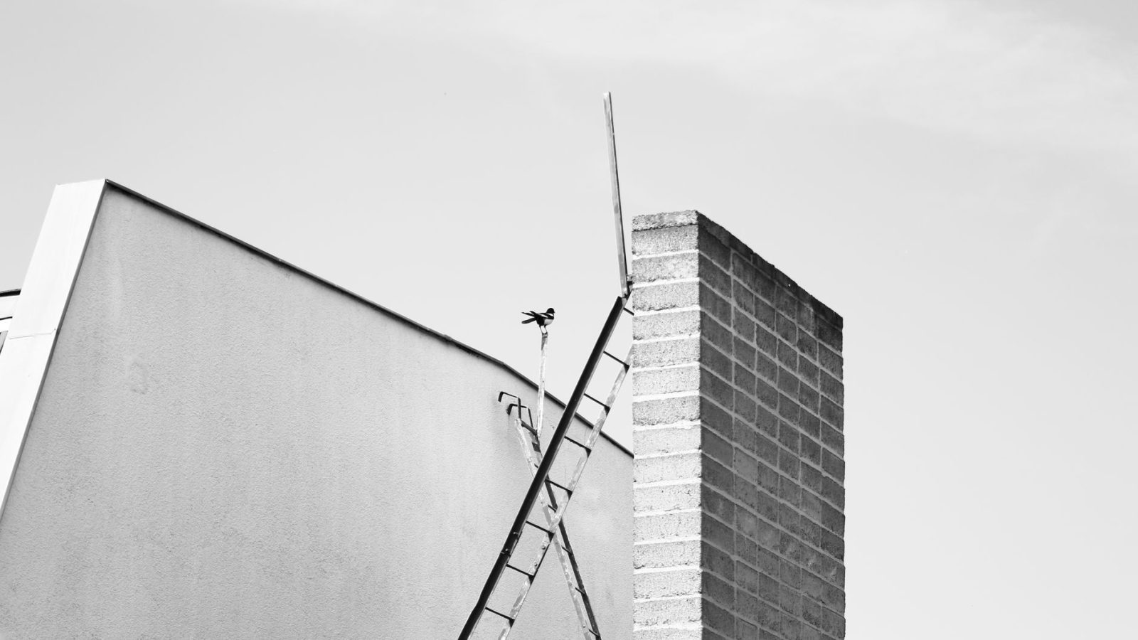 Einbau neuer Dachfenster